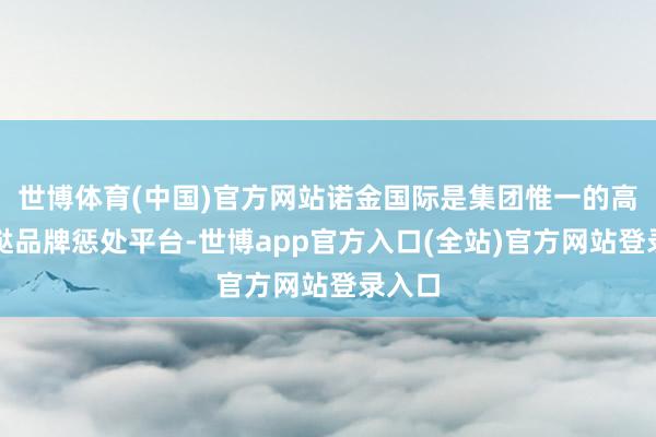 世博体育(中国)官方网站诺金国际是集团惟一的高端蹧跶品牌惩处平台-世博app官方入口(全站)官方网站登录入口